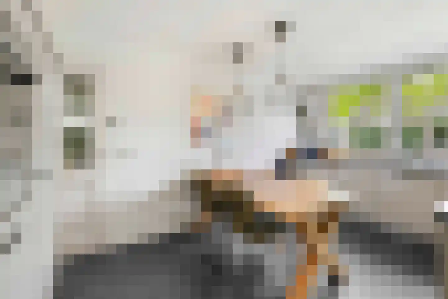 Beekerheide 50 Beek en Donk thumbnail 17