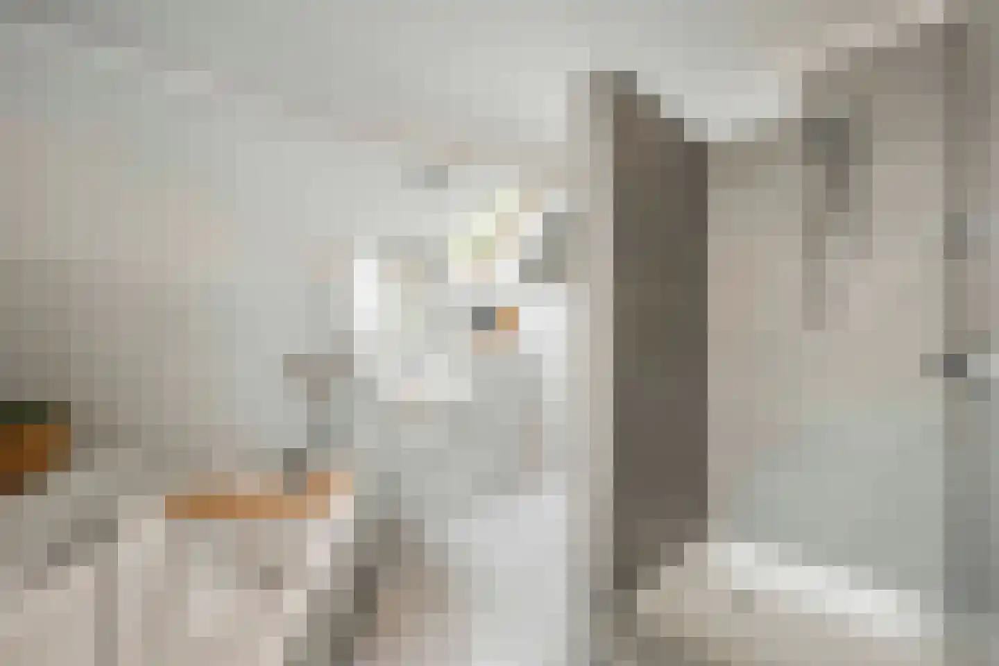 Beekerheide 50 Beek en Donk thumbnail 32