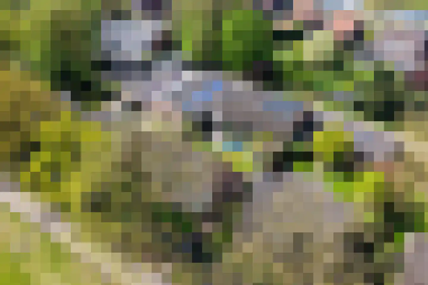 Beekerheide 50 Beek en Donk thumbnail 54