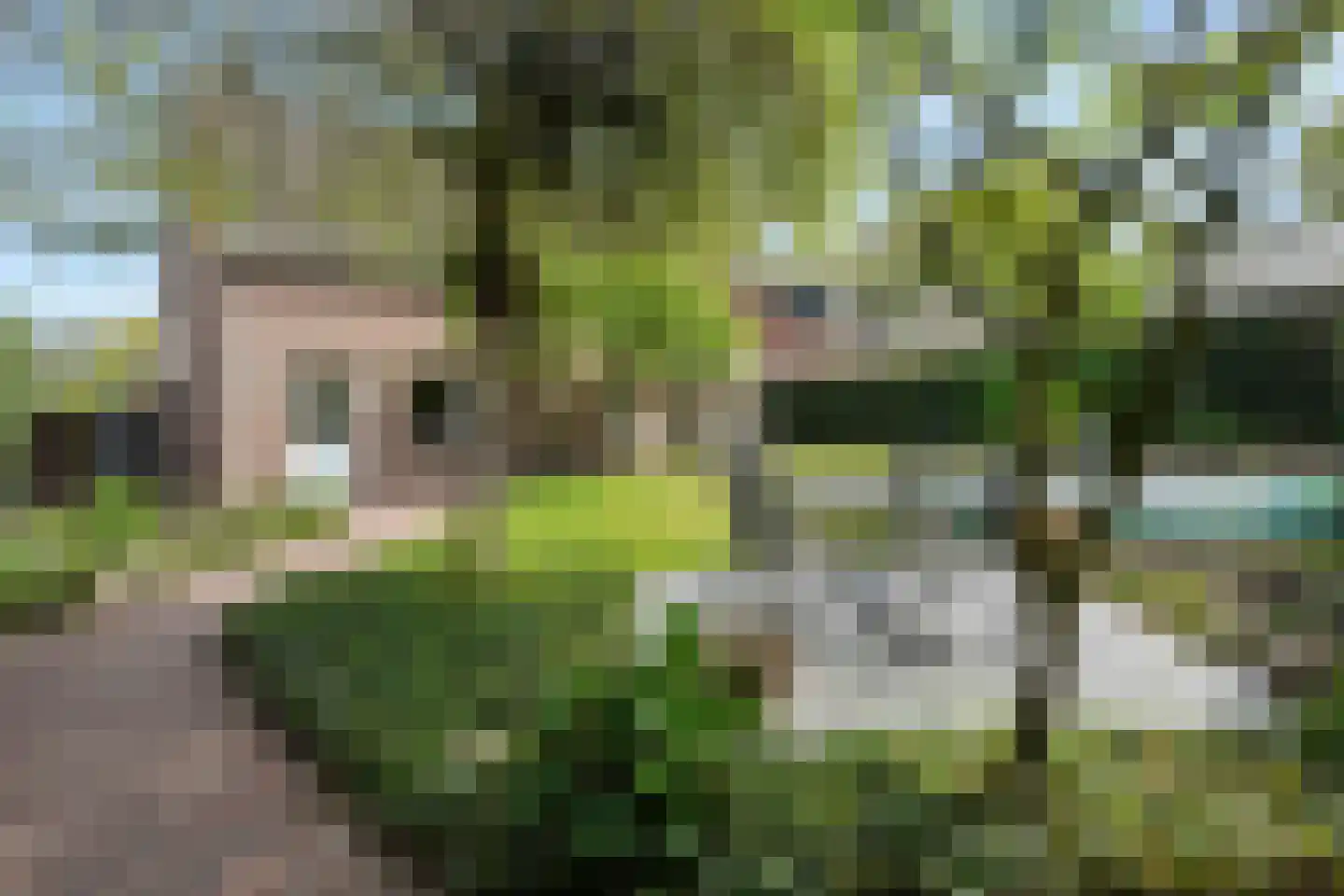 Beekerheide 50 Beek en Donk thumbnail 7