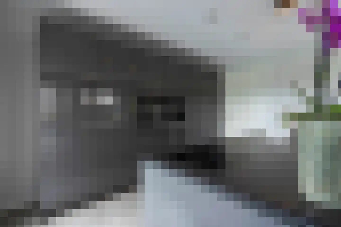 Beekerpark 5 Schimmert thumbnail 9
