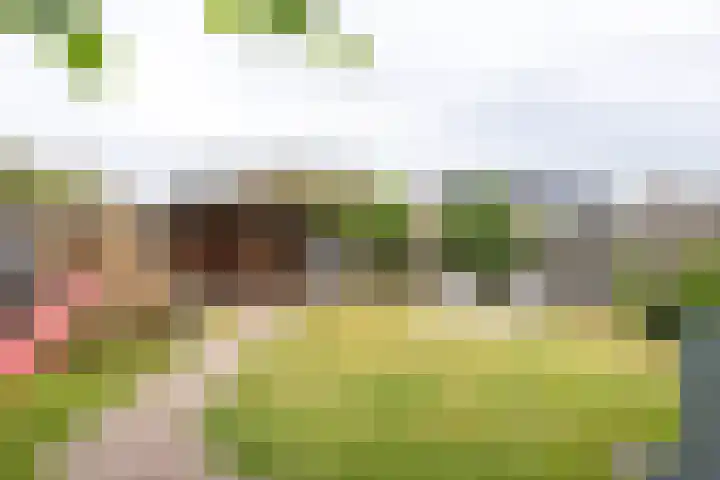 Beekerstraat 20 Beek thumbnail 41
