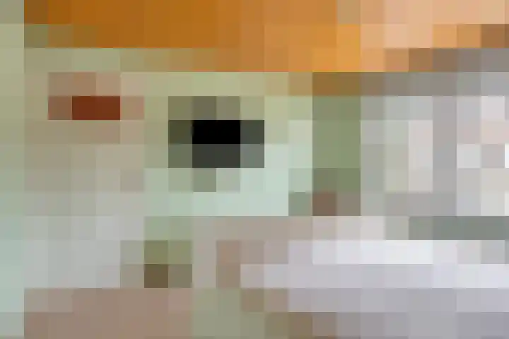 Beekerweg 10 Ulestraten thumbnail 21