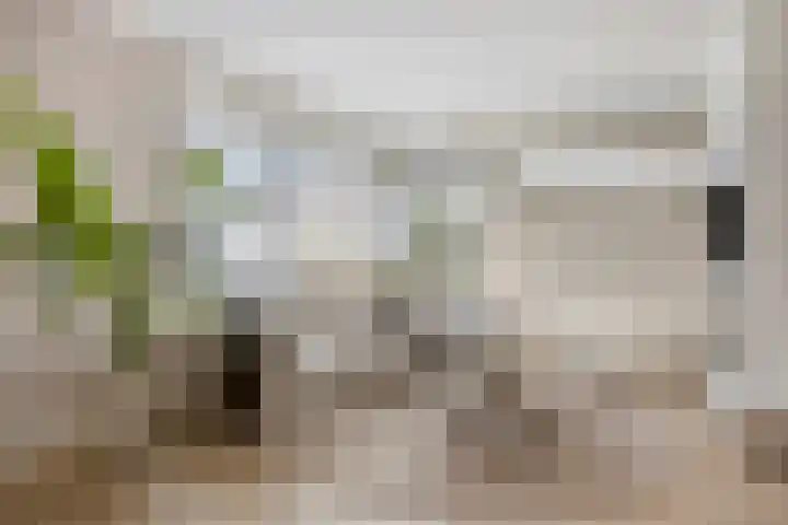 Beekerweg 18 Ulestraten thumbnail 7