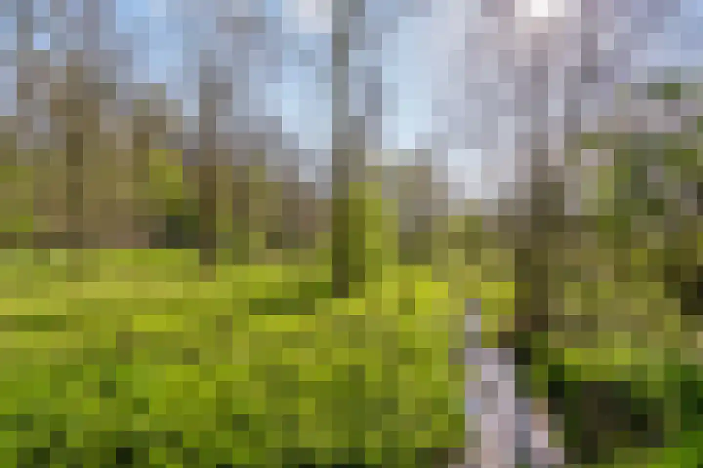 Beekerweg 27 Ulestraten thumbnail 28