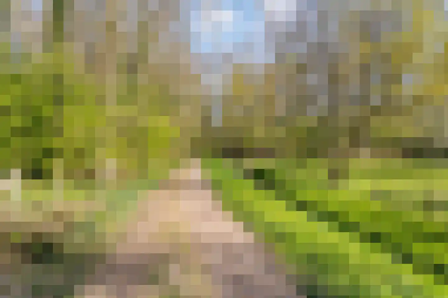 Beekerweg 27 Ulestraten thumbnail 29