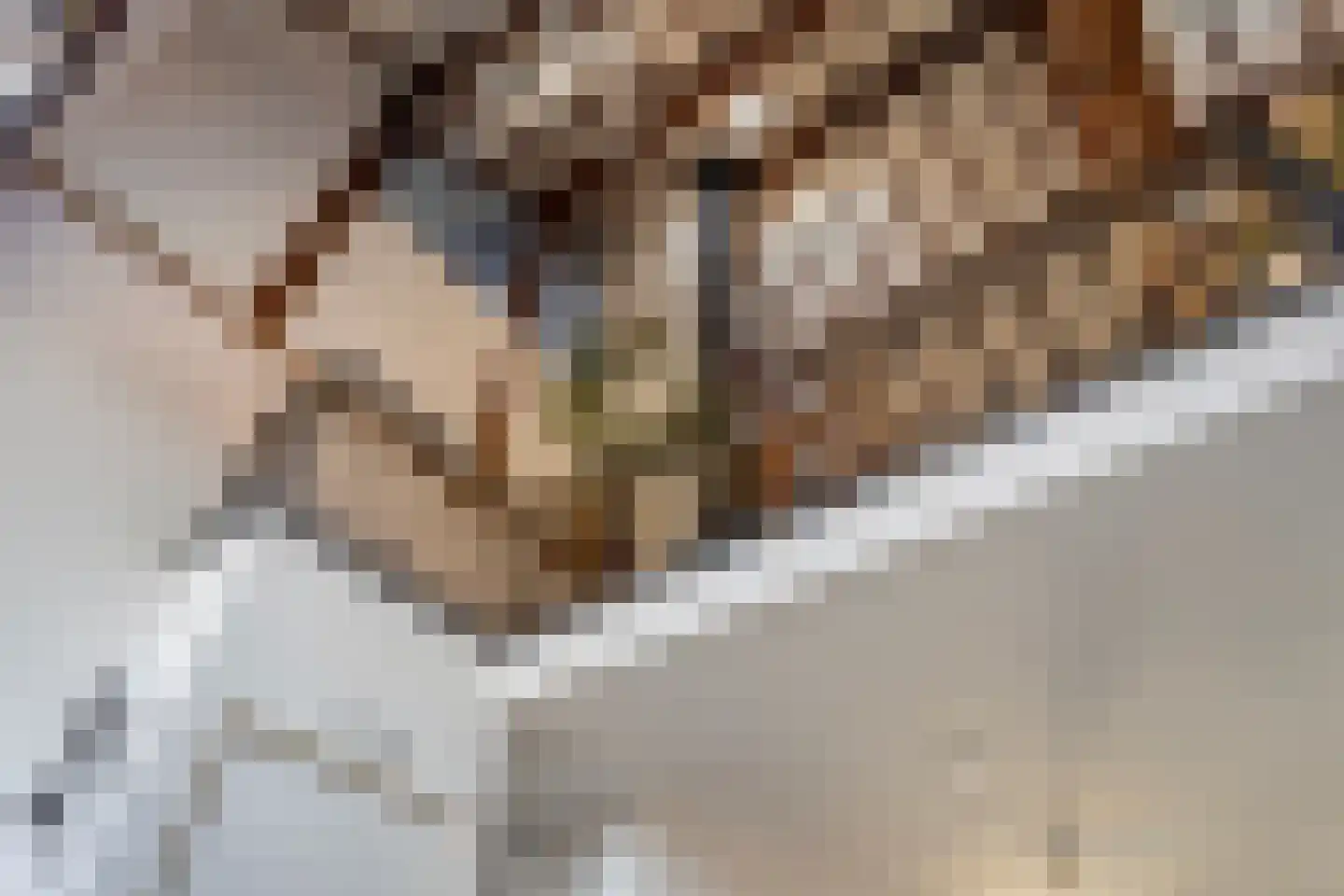 Beekerweg 27 Ulestraten thumbnail 7
