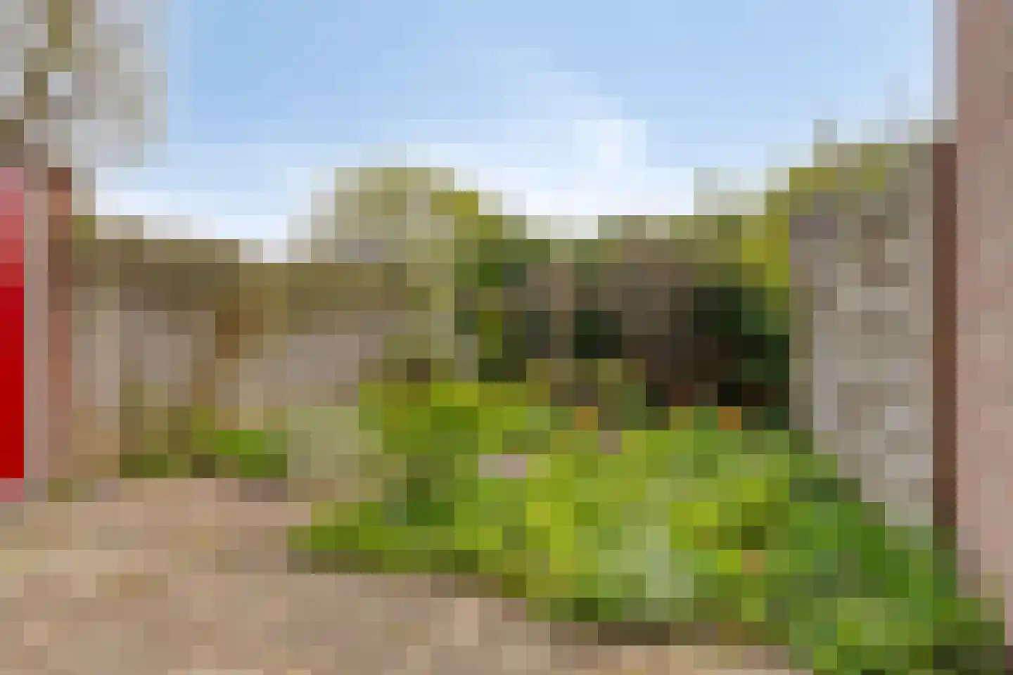 Beekforel 10 Leiden thumbnail 25