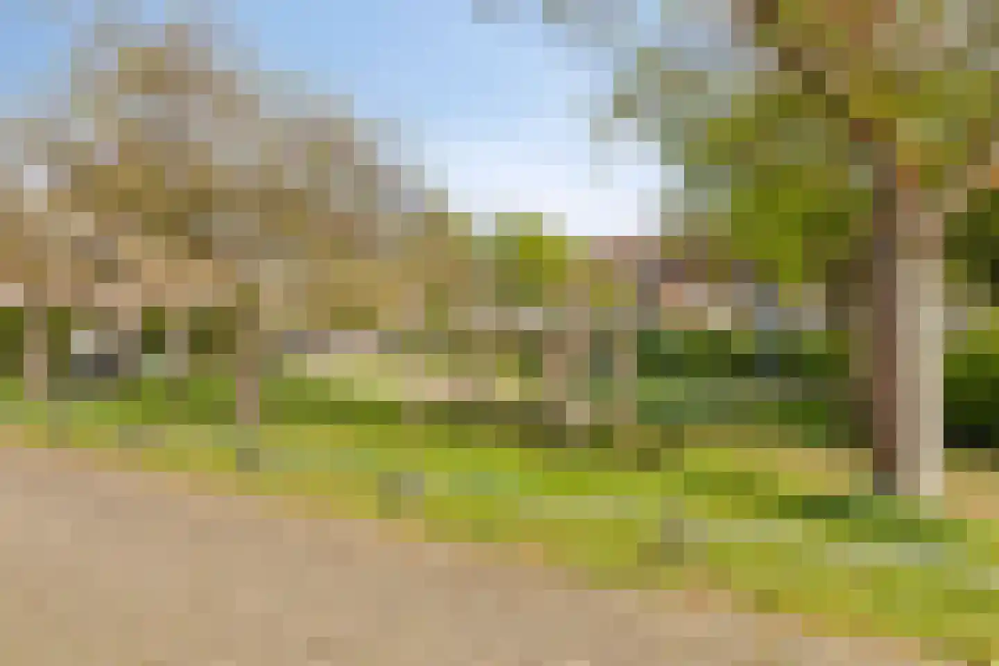 Beekforel 10 Leiden thumbnail 27