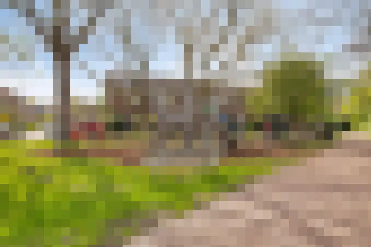 Beekforel 10 Leiden thumbnail 28