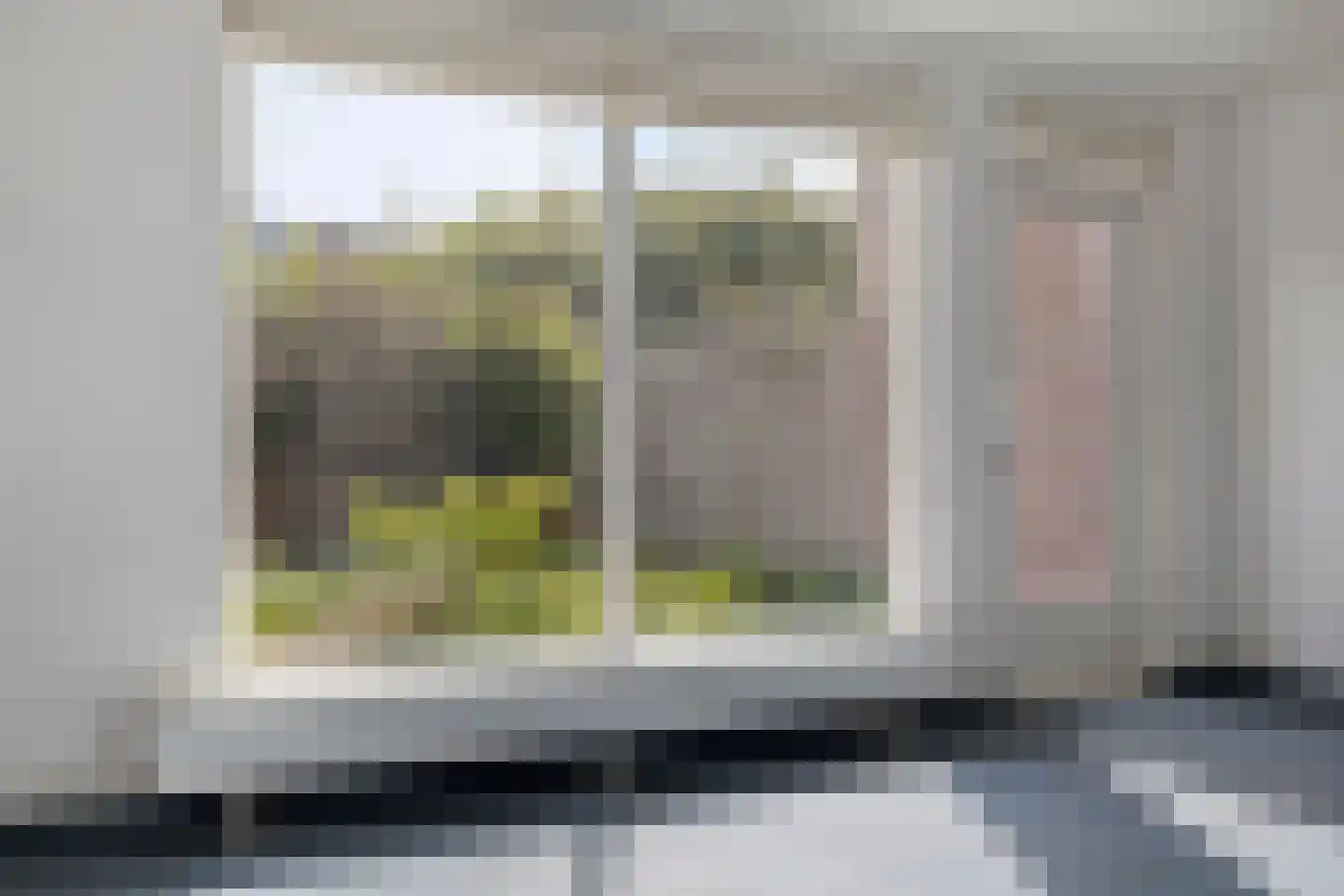 Beekforel 10 Leiden thumbnail 5