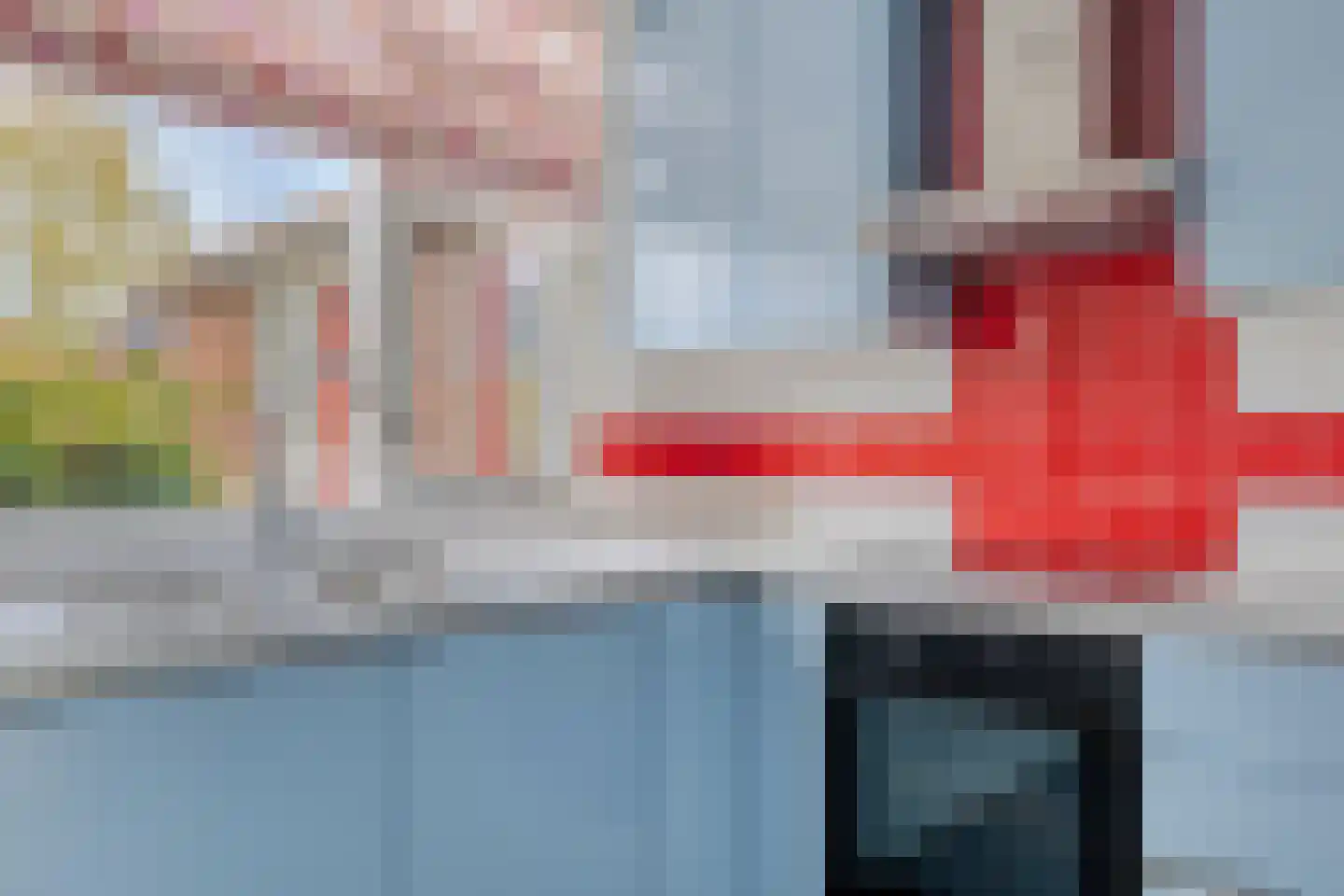 Beekforel 10 Leiden thumbnail 8