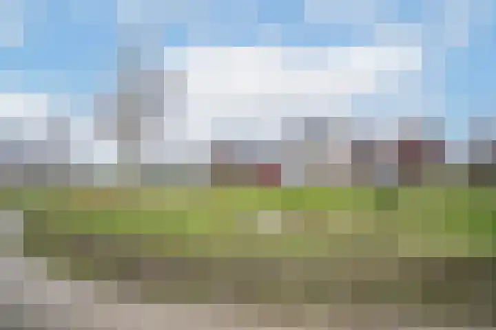 Beekforel 12 Rossum thumbnail 6