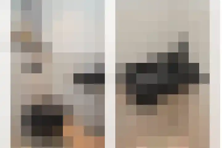 Beekforel 13 Kwintsheul thumbnail 10