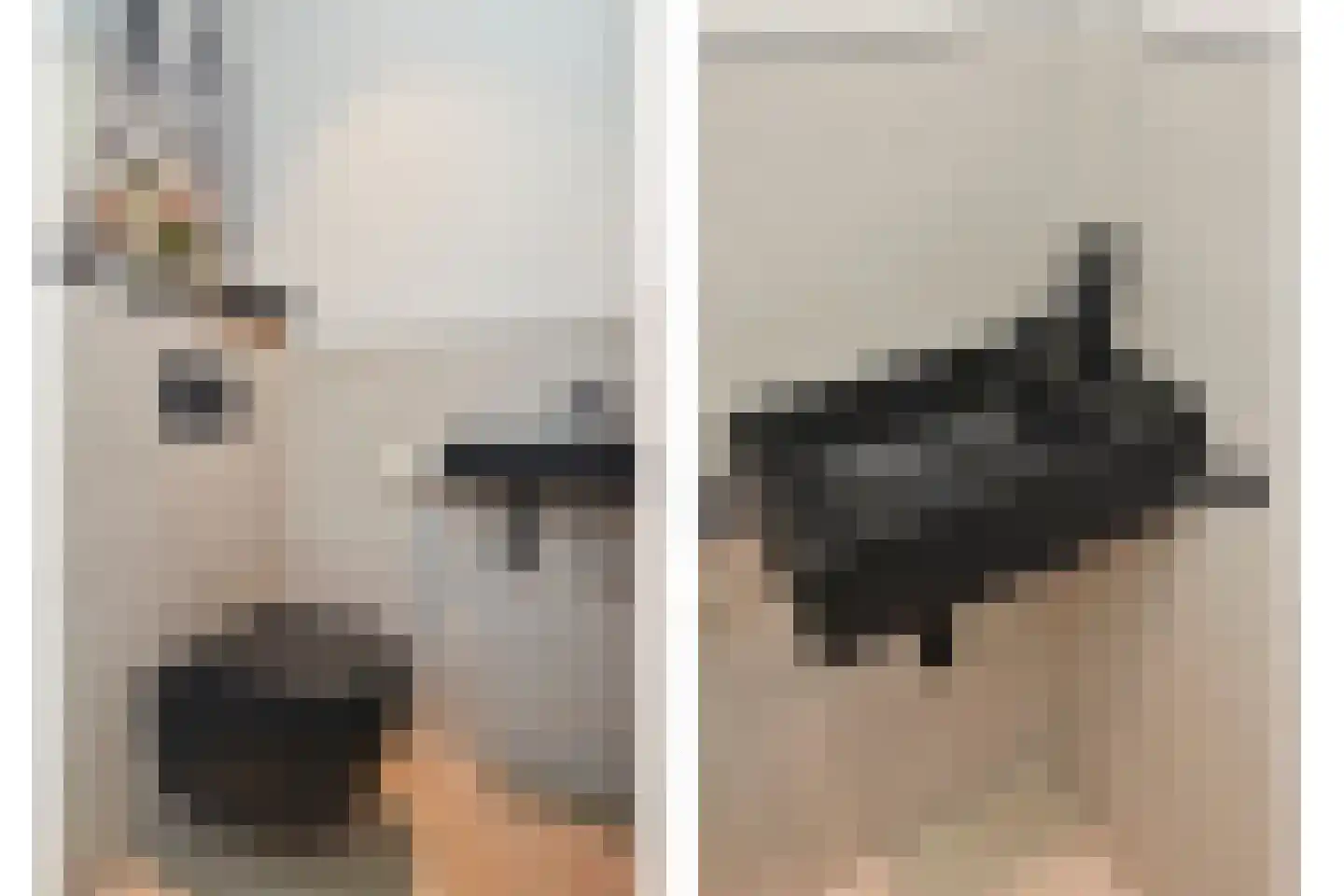 Beekforel 13 Kwintsheul thumbnail 10