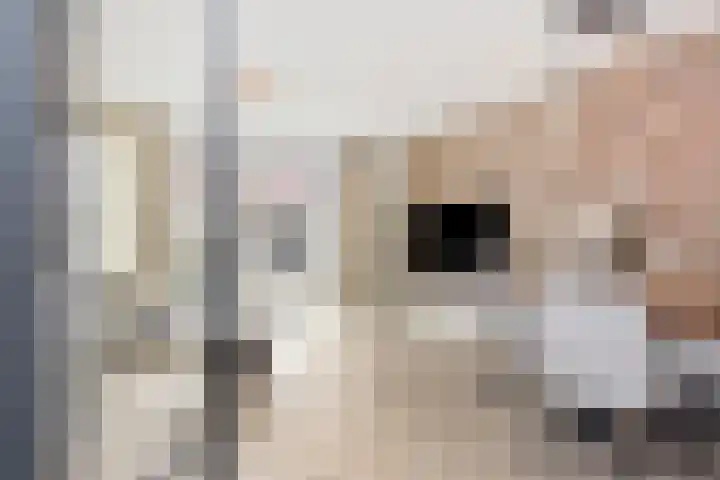 Beekforel 13 Kwintsheul thumbnail 11