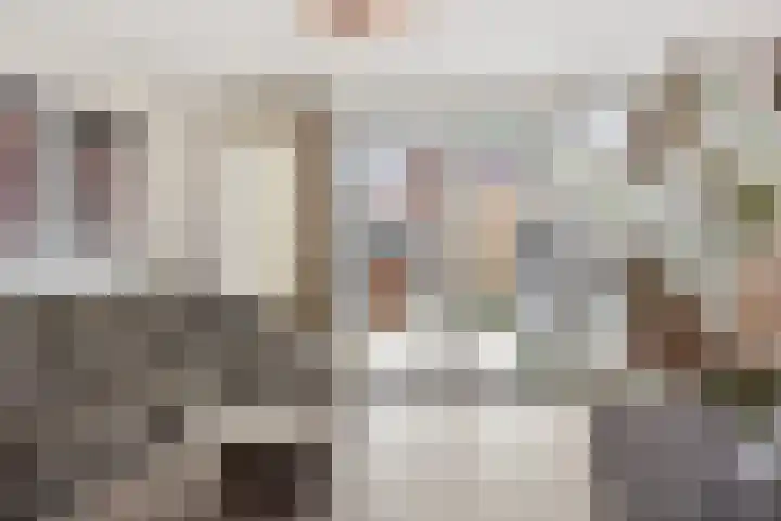 Beekforel 13 Kwintsheul thumbnail 12