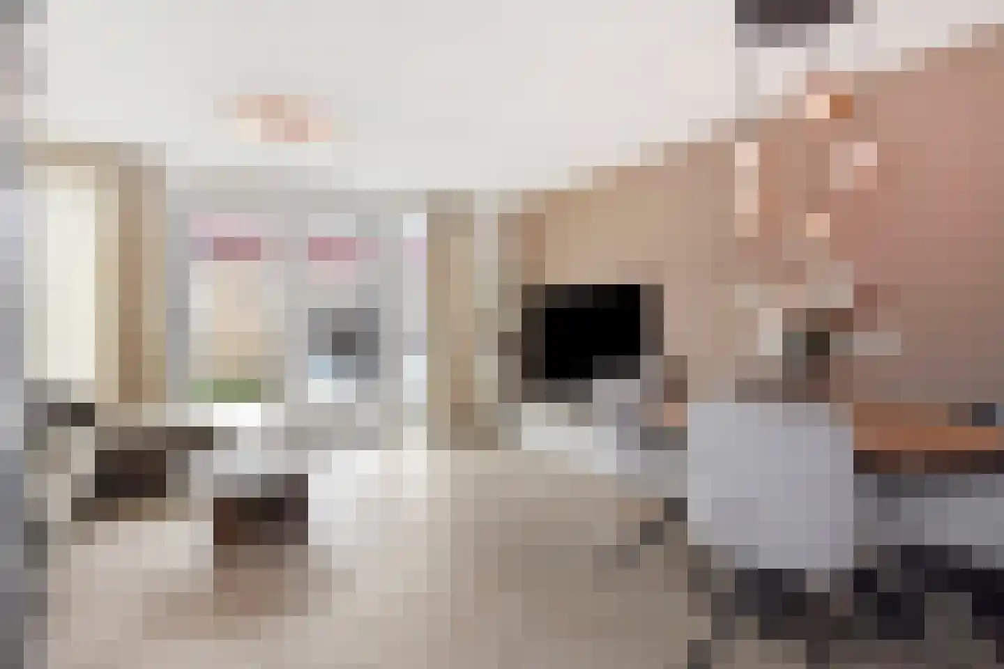 Beekforel 13 Kwintsheul thumbnail 13