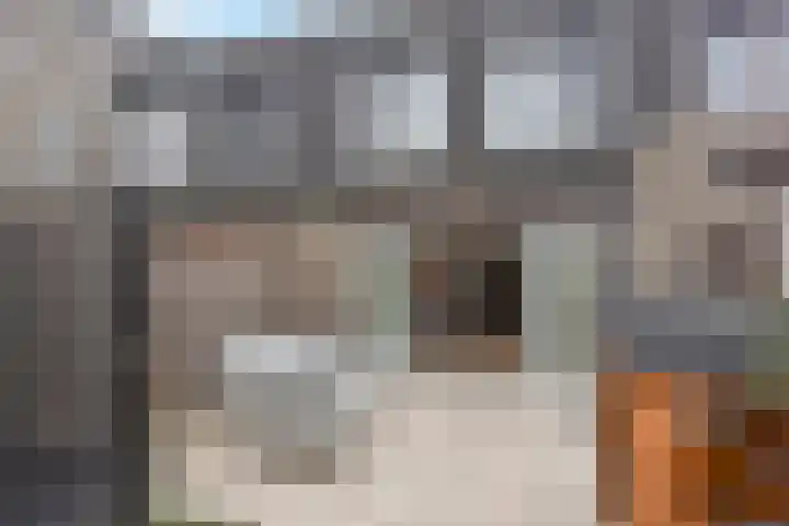 Beekforel 13 Kwintsheul thumbnail 16