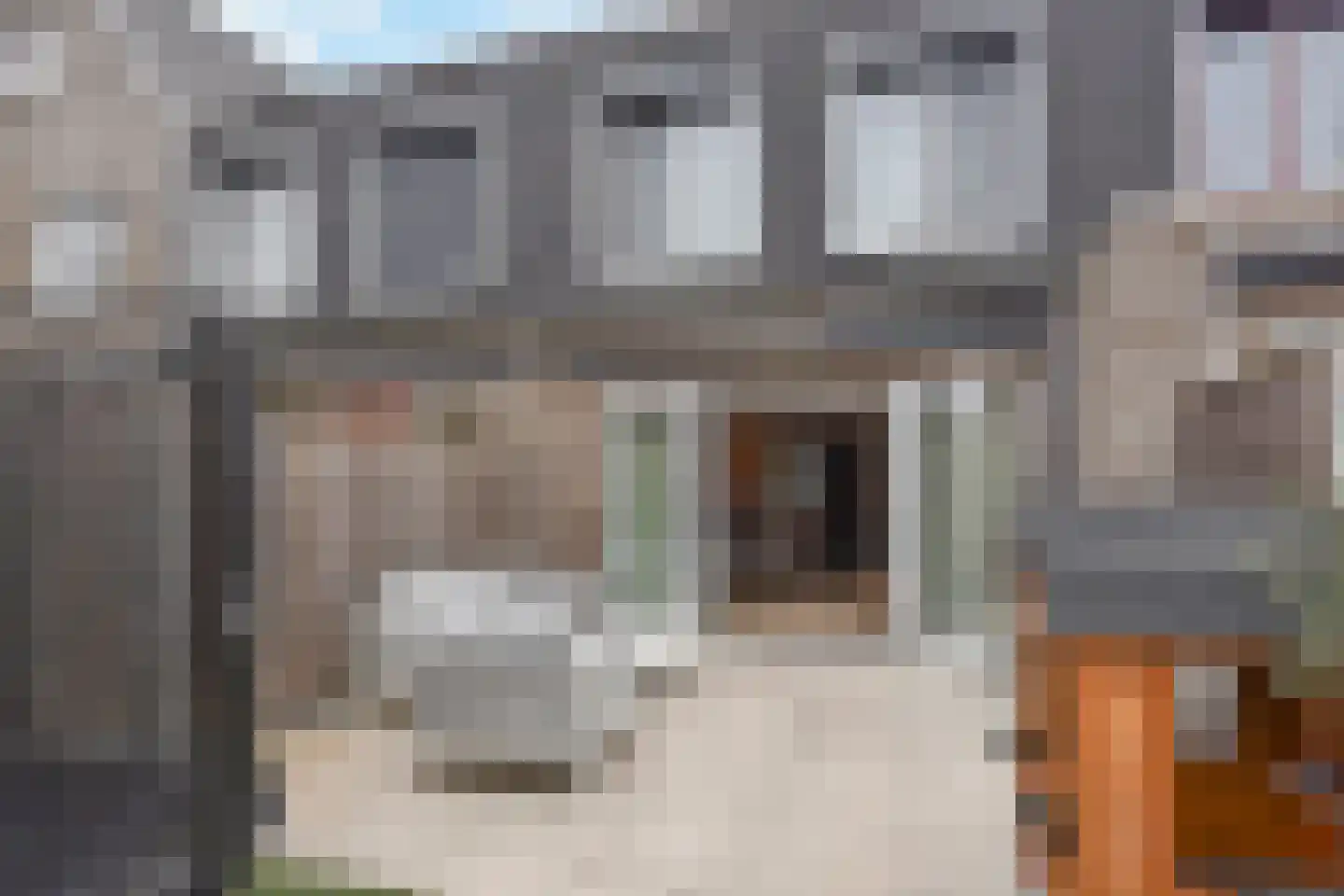 Beekforel 13 Kwintsheul thumbnail 16
