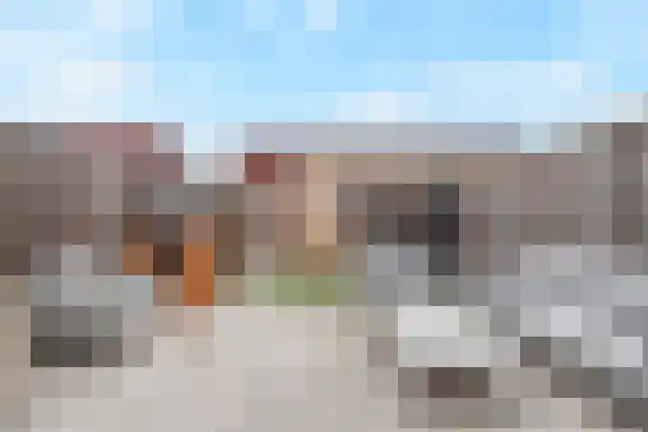Beekforel 13 Kwintsheul thumbnail 17