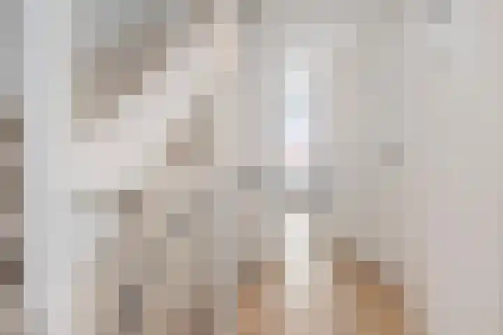 Beekforel 13 Kwintsheul thumbnail 22