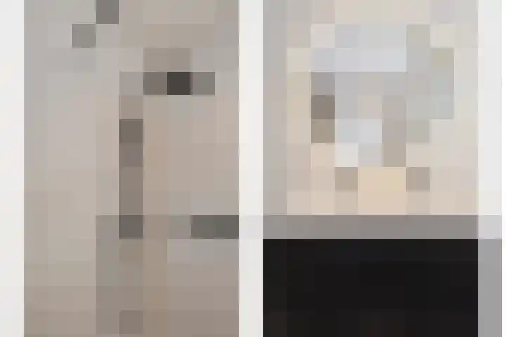 Beekforel 13 Kwintsheul thumbnail 26