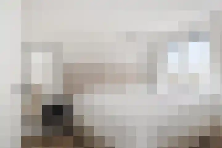 Beekforel 13 Kwintsheul thumbnail 27