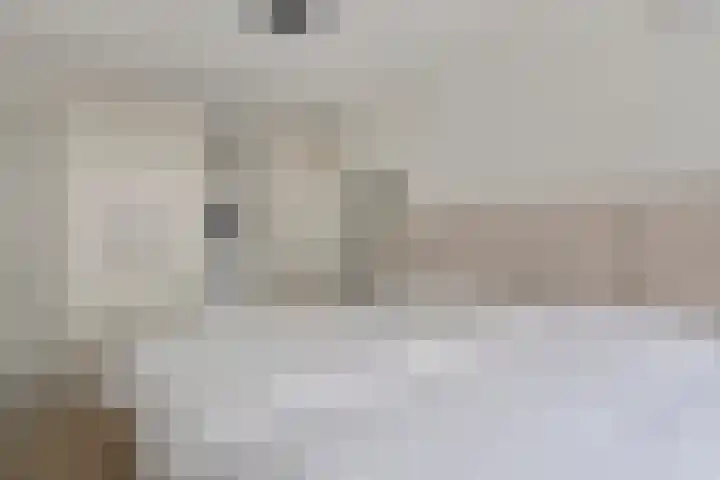 Beekforel 13 Kwintsheul thumbnail 28