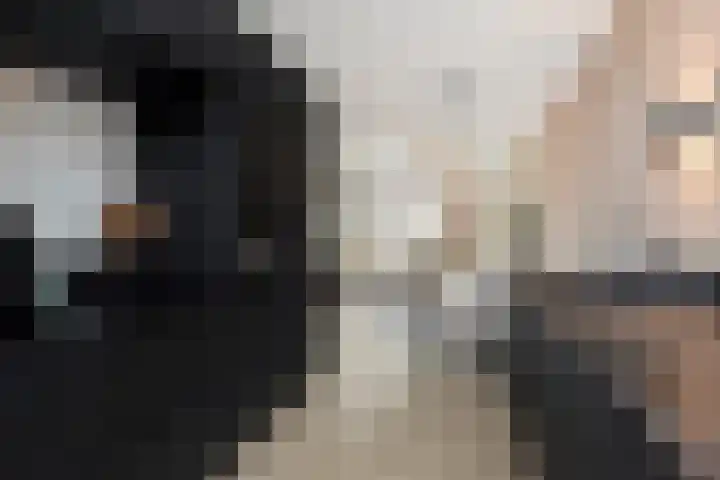 Beekforel 13 Kwintsheul thumbnail 4