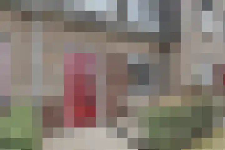 Beekforel 13 Kwintsheul thumbnail 6