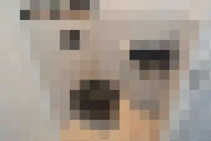 Beekforel 13 Kwintsheul thumbnail 9