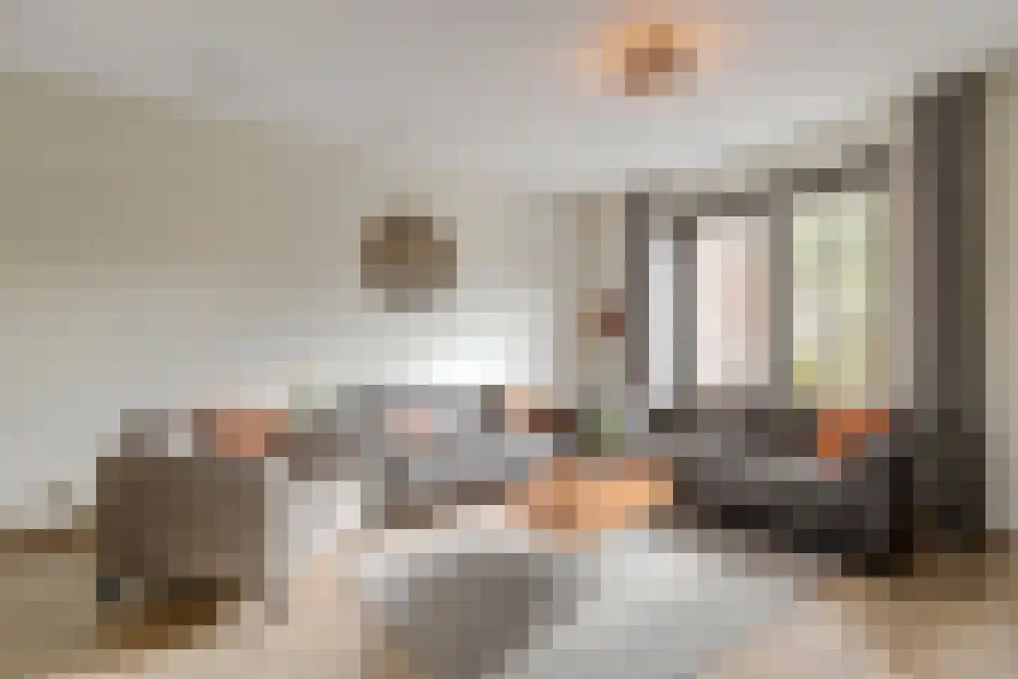 Beekforel 13 Waddinxveen thumbnail 10
