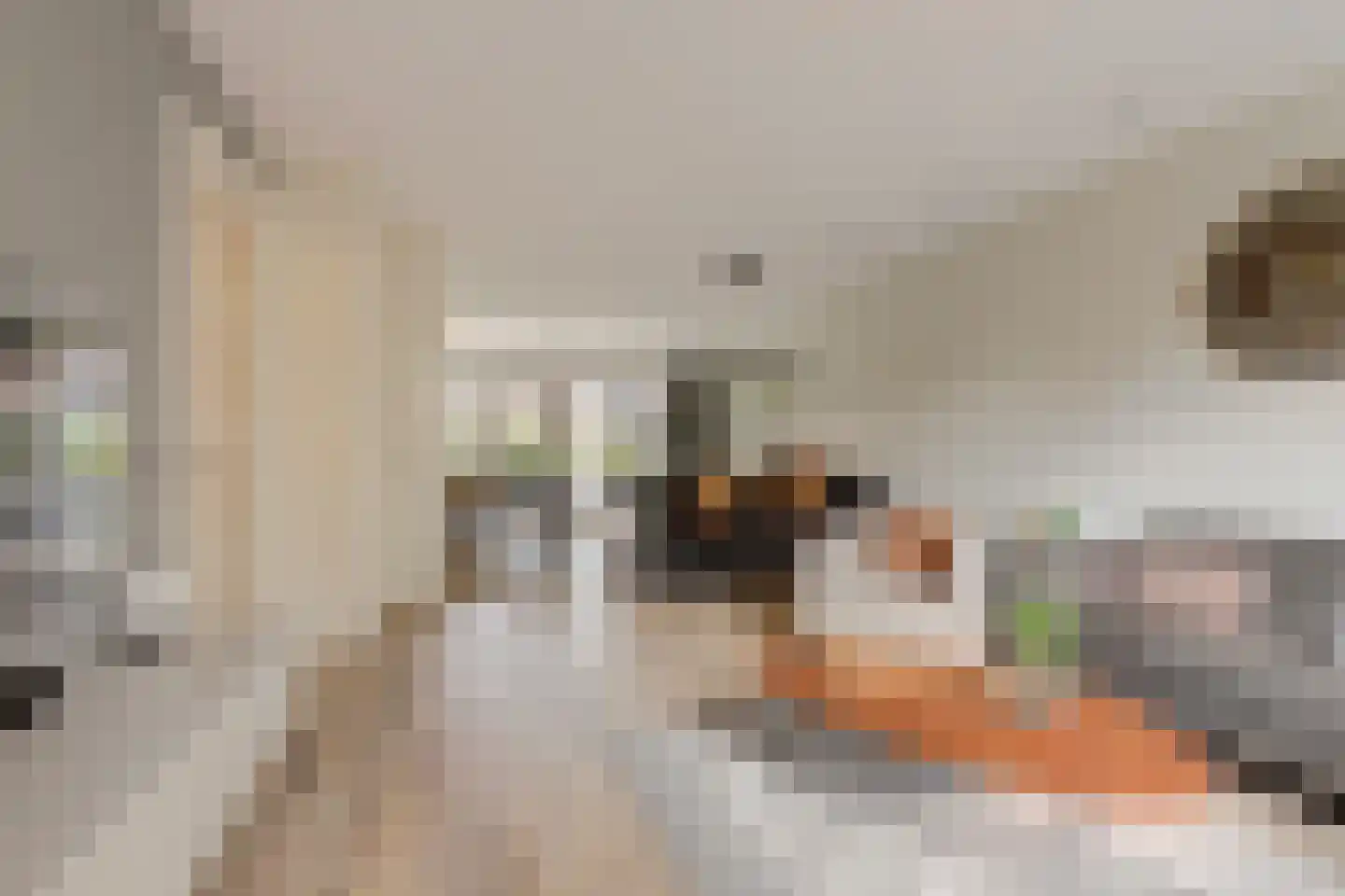 Beekforel 13 Waddinxveen thumbnail 11