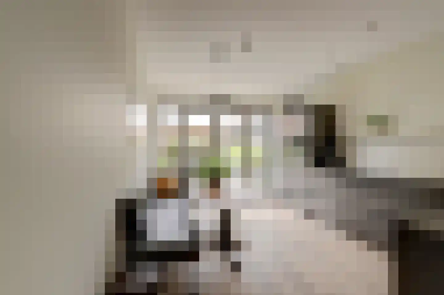 Beekforel 13 Waddinxveen thumbnail 12