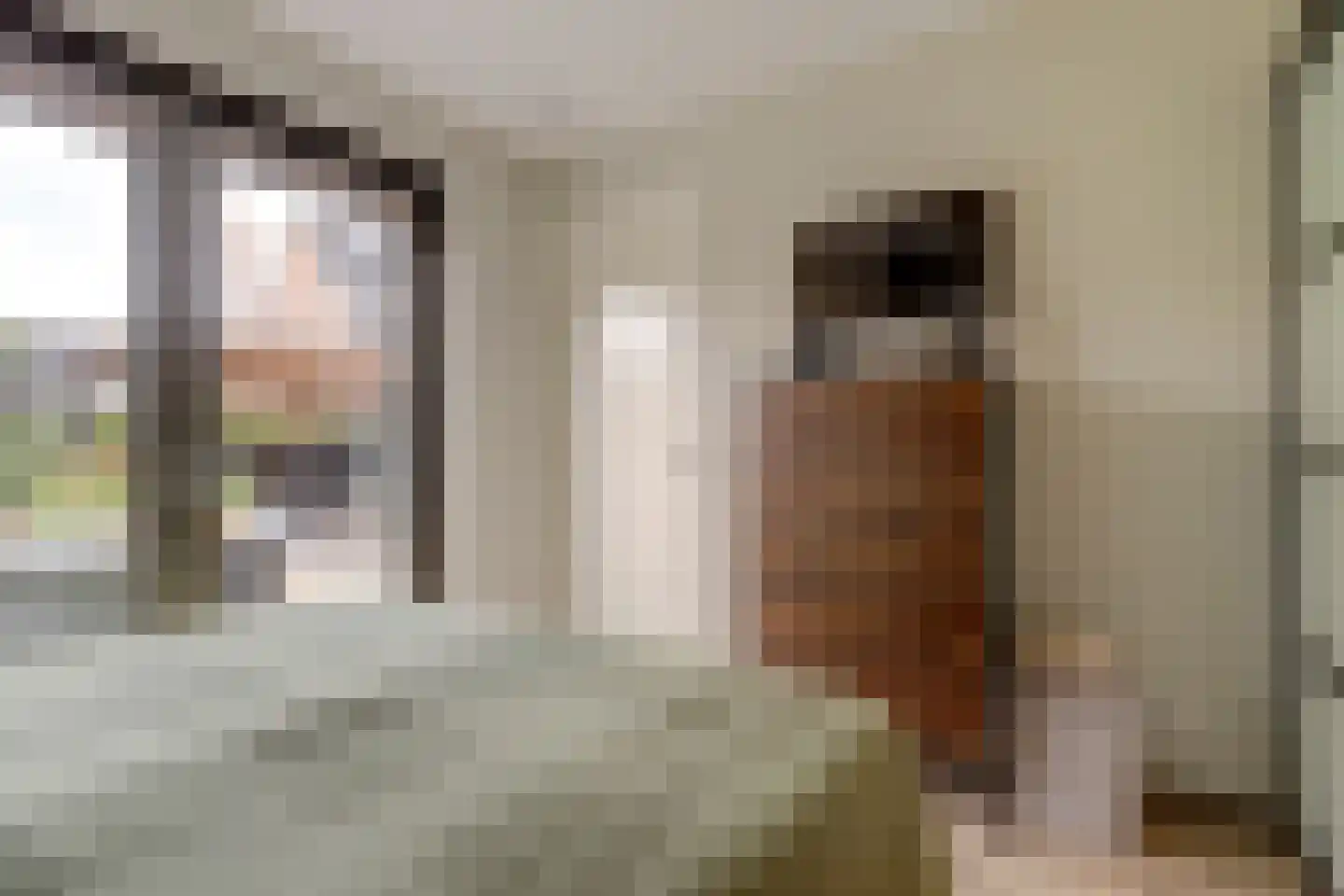 Beekforel 13 Waddinxveen thumbnail 16