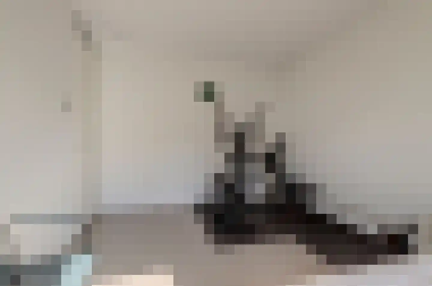 Beekforel 13 Waddinxveen thumbnail 23