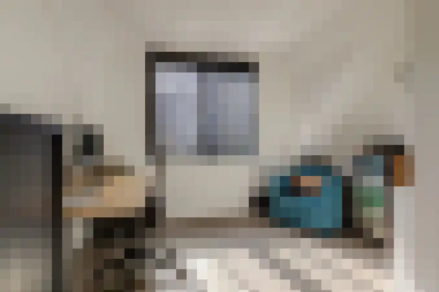 Beekforel 13 Waddinxveen thumbnail 24
