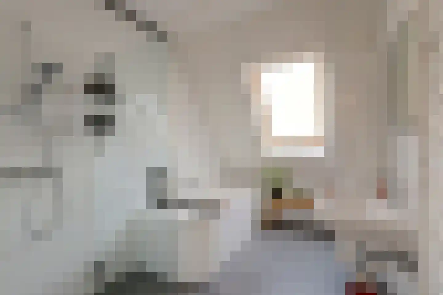 Beekforel 13 Waddinxveen thumbnail 28