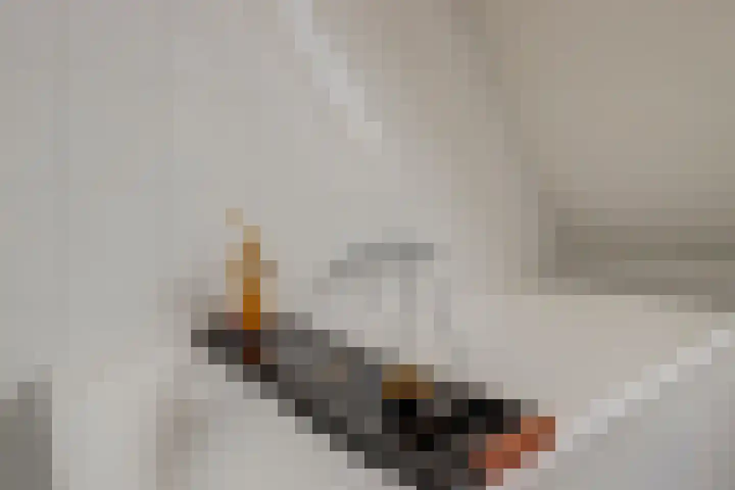 Beekforel 13 Waddinxveen thumbnail 30