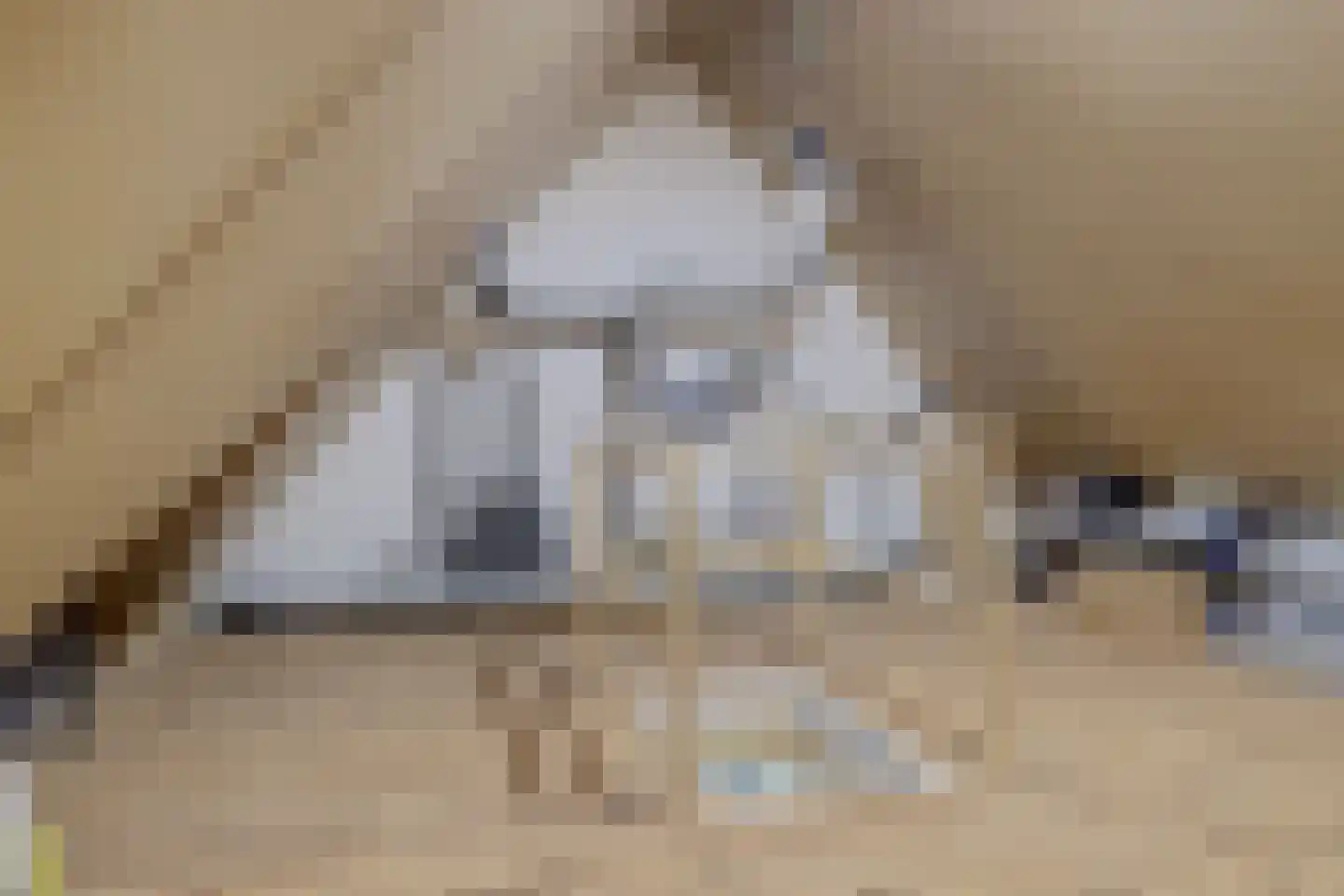 Beekforel 13 Waddinxveen thumbnail 32
