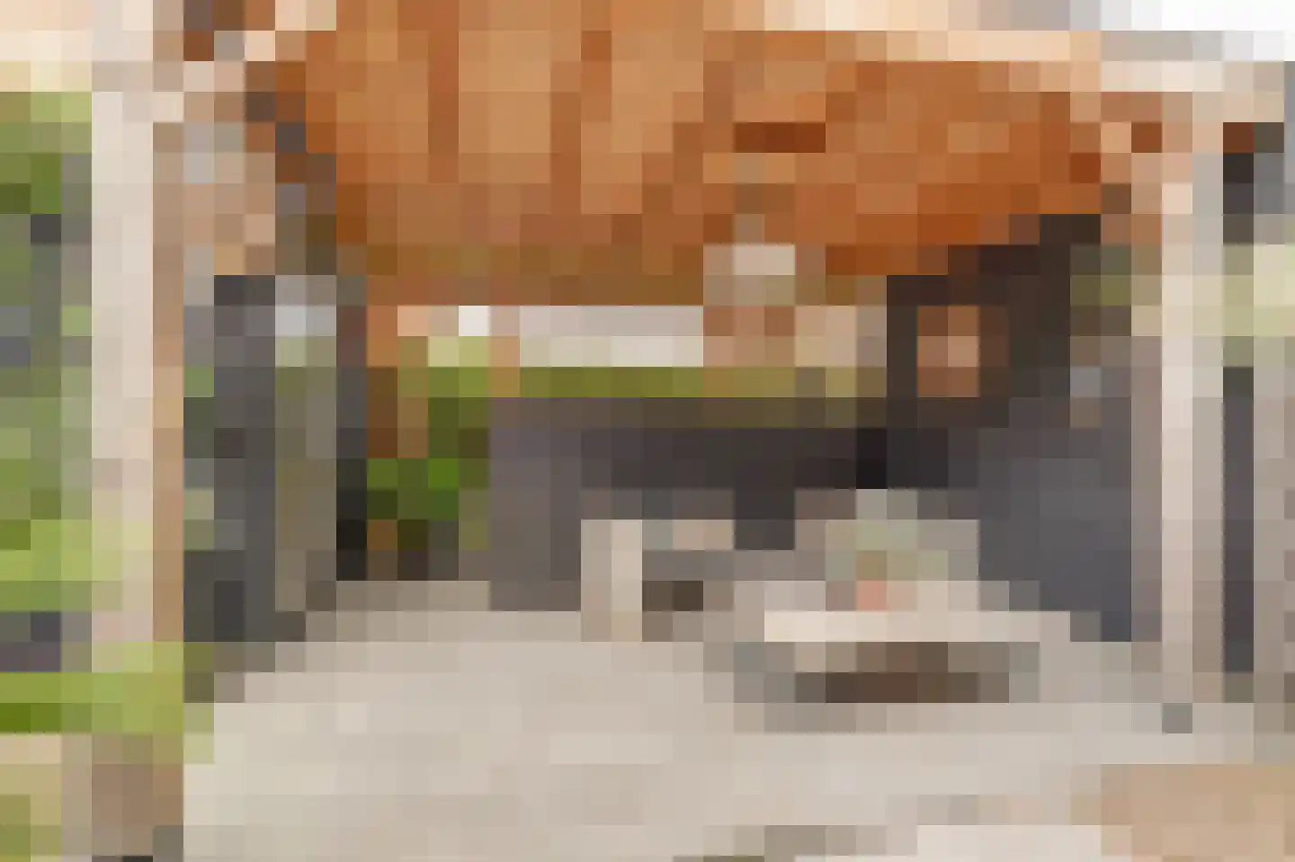 Beekforel 13 Waddinxveen thumbnail 34