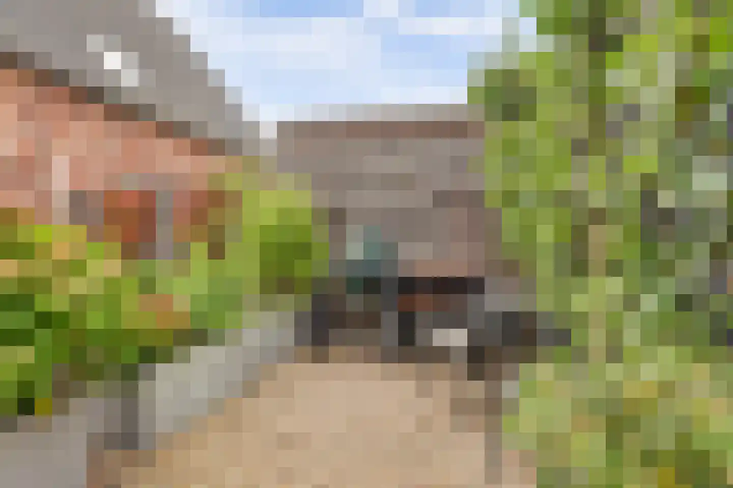 Beekforel 13 Waddinxveen thumbnail 35