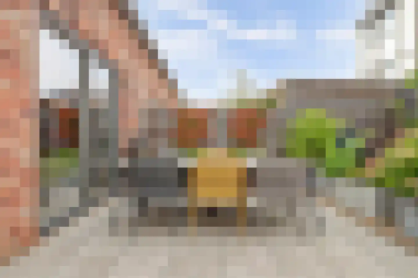Beekforel 13 Waddinxveen thumbnail 38