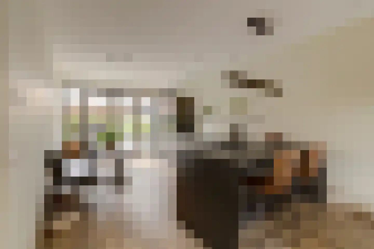 Beekforel 13 Waddinxveen thumbnail 4