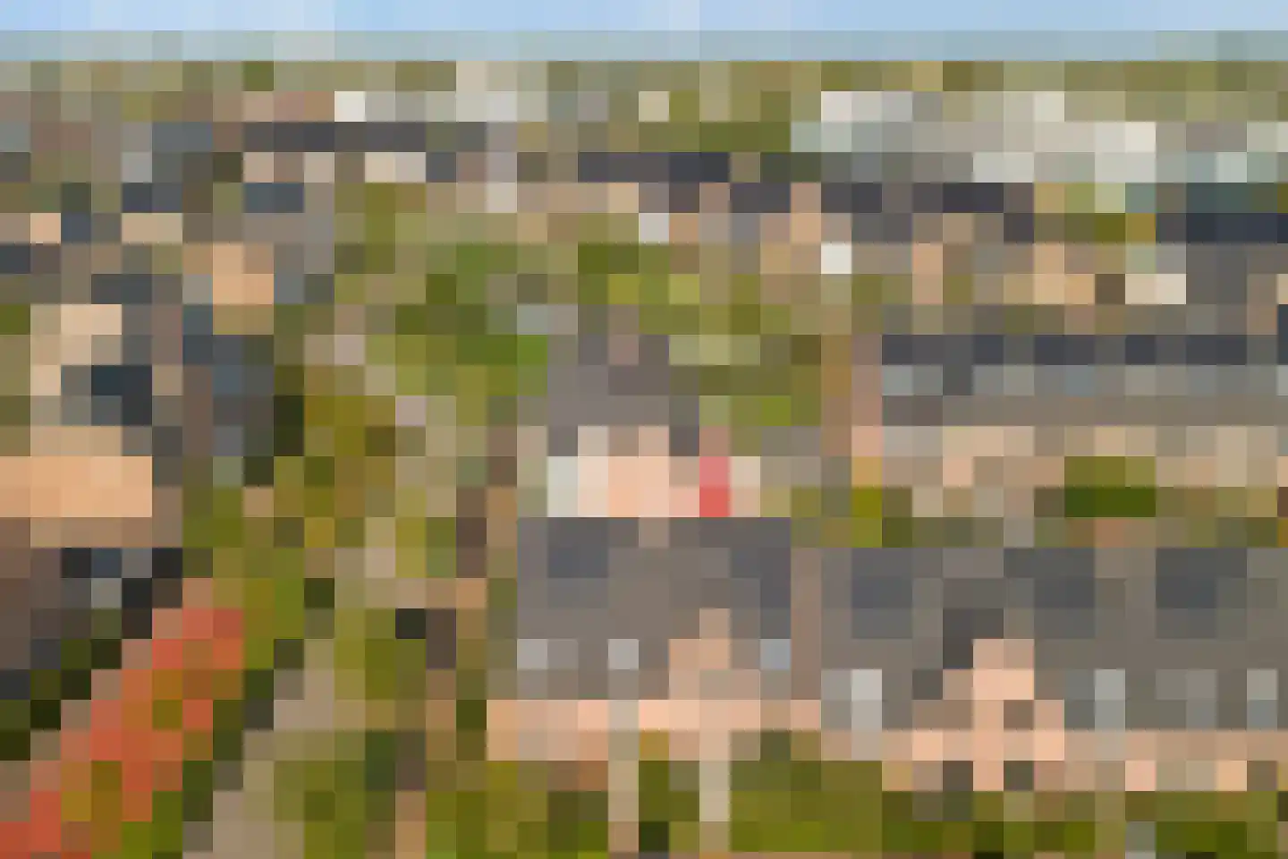 Beekforel 13 Waddinxveen thumbnail 42