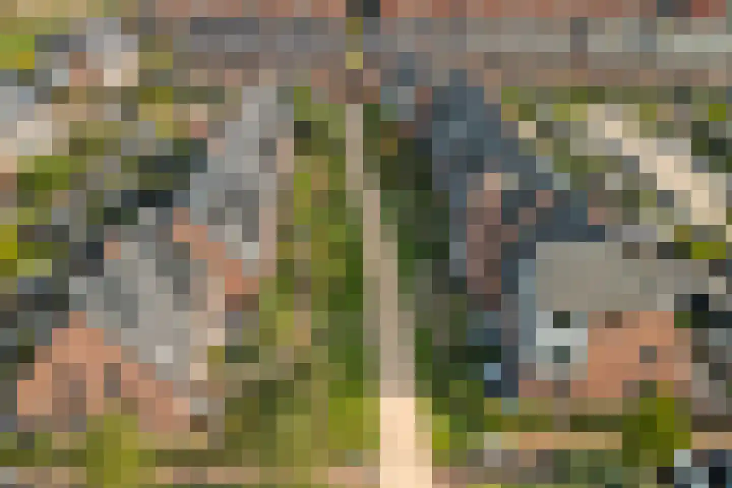 Beekforel 13 Waddinxveen thumbnail 44