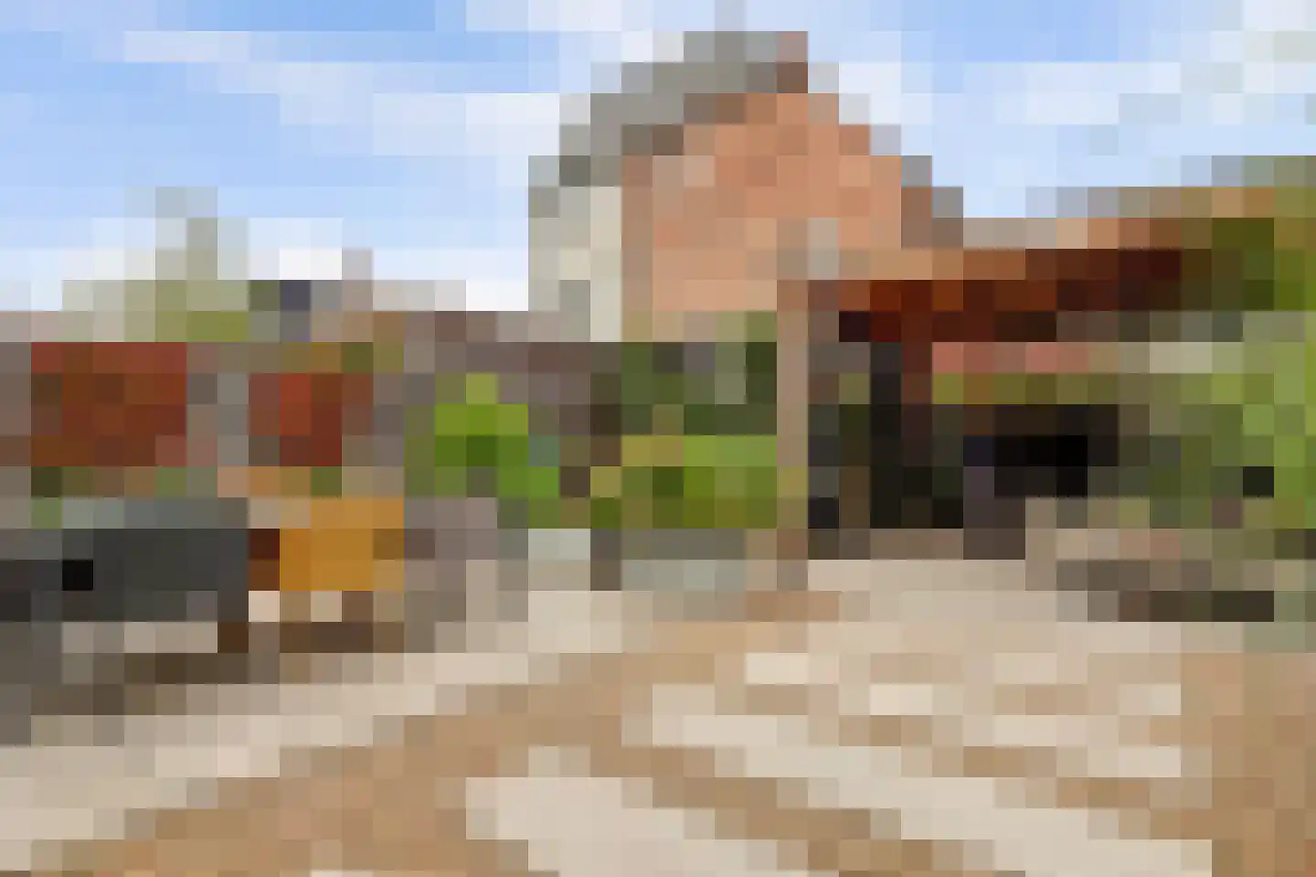 Beekforel 13 Waddinxveen thumbnail 6
