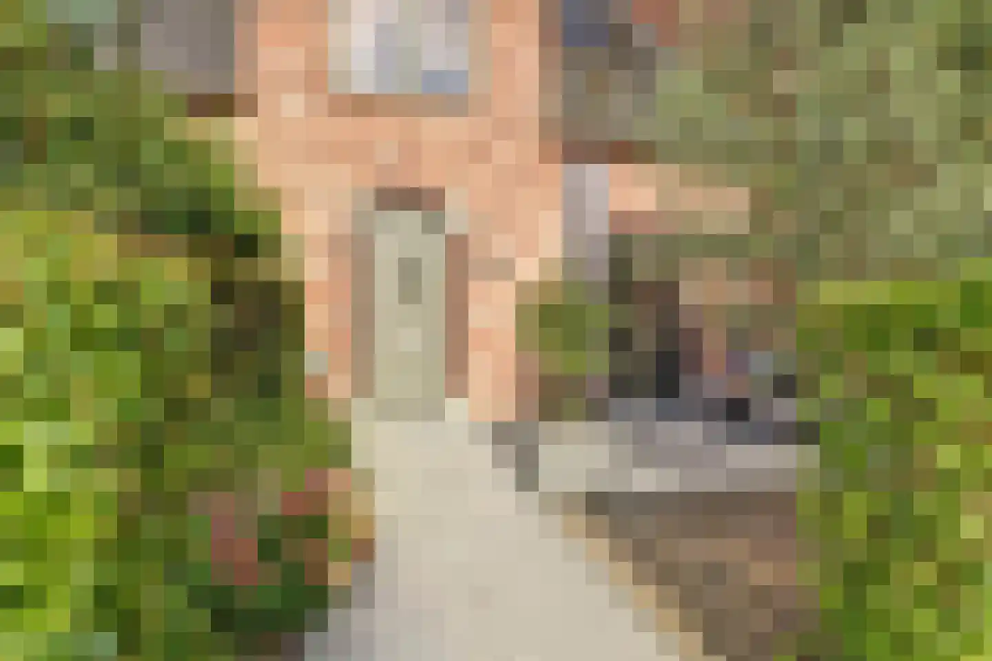 Beekforel 13 Waddinxveen thumbnail 7