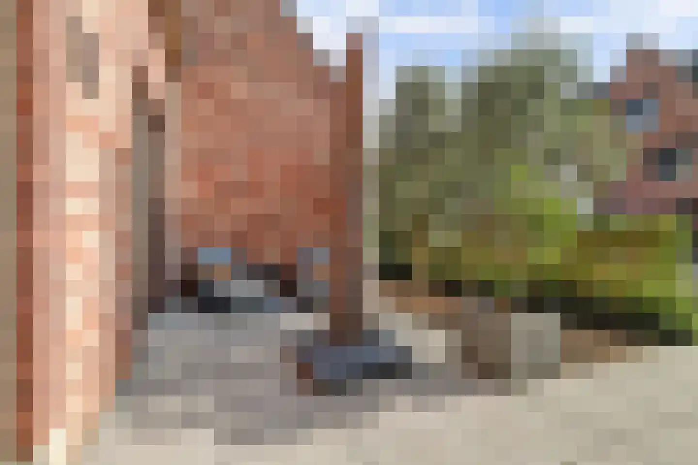 Beekforel 13 Waddinxveen thumbnail 8